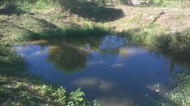 Vendo lindo sitio em engenheiro pedreira com 2700m2 - Foto 9
