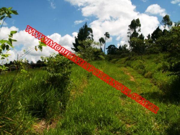 Terreno à venda em Potuvera, Itapecerica da serra cod:4510 - Foto 5