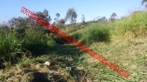 Terreno para alugar em Maria auxiliadora, Embu das artes cod:4710 - Foto 6