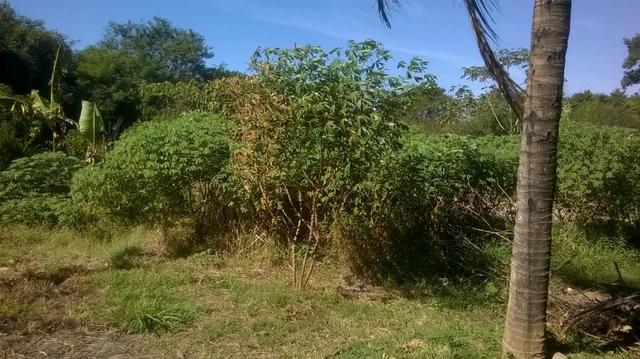 Vendo lindo sitio em engenheiro pedreira com 2700m2 - Foto 8