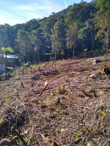 Vendo chácara em Santo Amaro da Imperatriz - Foto 20