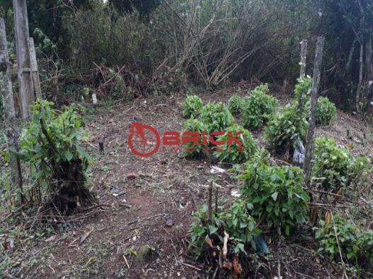 Ótimo terreno com 240 m² próximo a feirinha do alto. - Foto 4