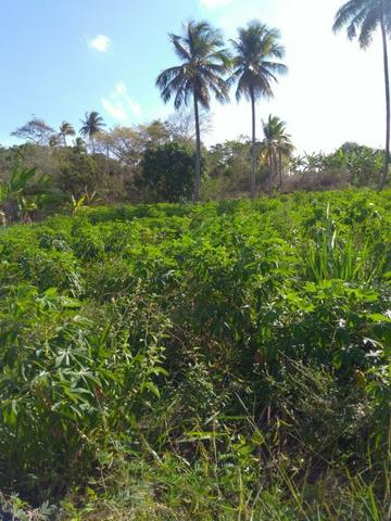 Sitio formado com toda infraestrutura, Zona Rural 65km de Recife - Foto 14