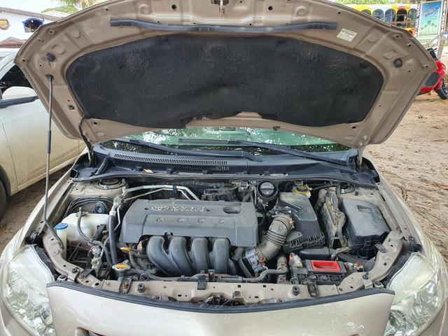 Corolla - Foto 2