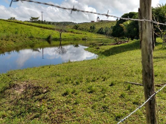 9 hectares nas Margens da BR 232 a 25 km de Recife PE - Foto 12