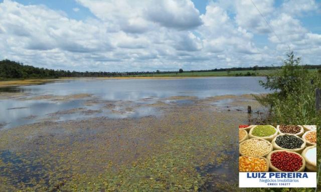 FAZENDA A VENDA DE 906 ALQUEIRÕES EM ARAGUAÇU - TO (Dupla Aptidão) - Foto 4