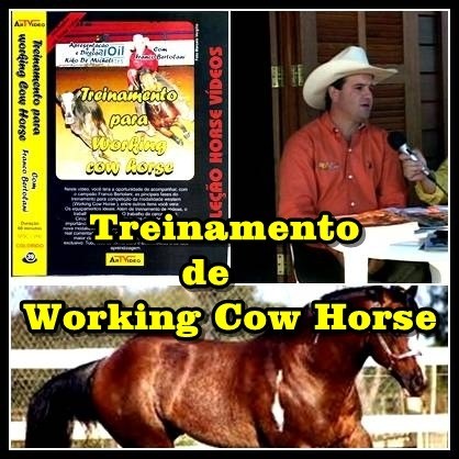 39- Treinamento do Cavalo para Work Cow Horse