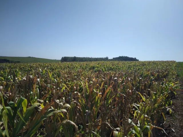 Vende Sitio 47.9 alqueiro  