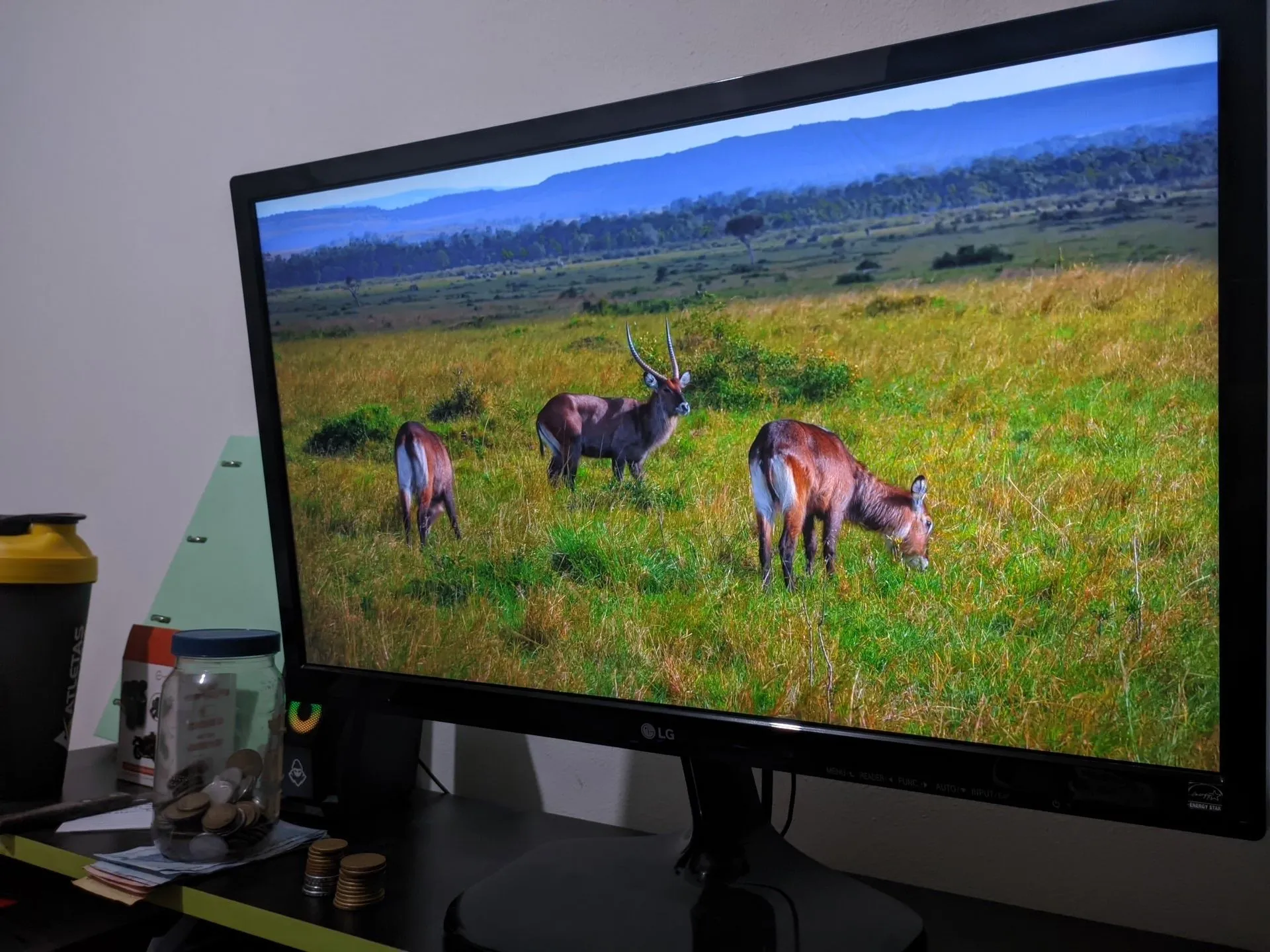 Monitor LG 24 polegadas Full HD