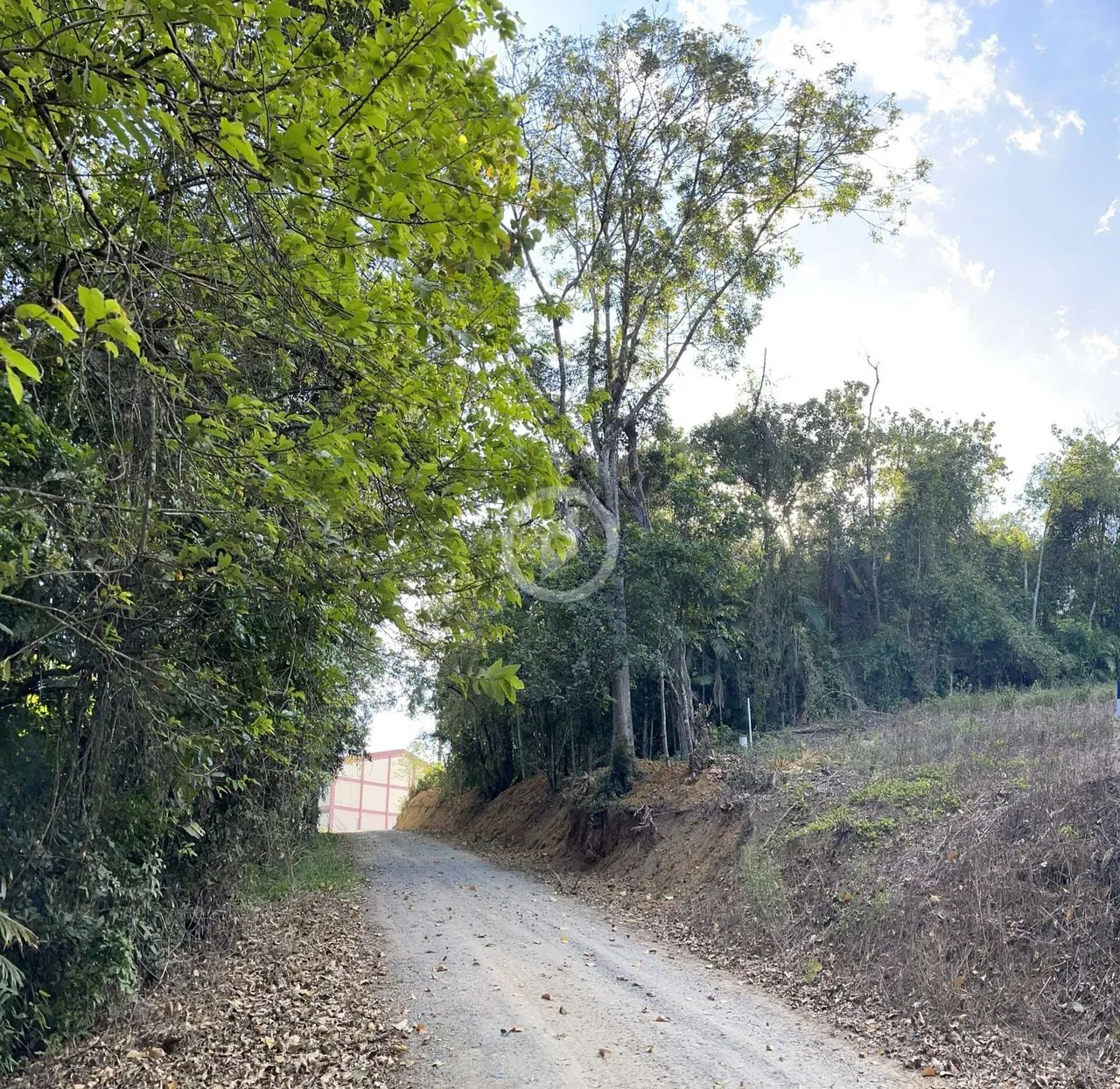 Terreno à venda no bairro Rio Branco - Guaramirim/SC