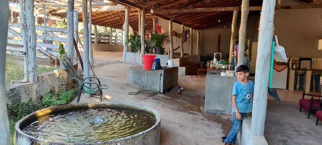 Fazenda em Pontalina  - Foto 2