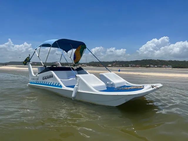 Jangada Flypper Motor 60hp todo revisado, com trim. - Foto 4