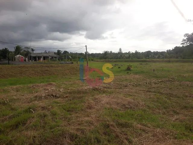 Vendo Fazenda Vida Nova - Foto 5