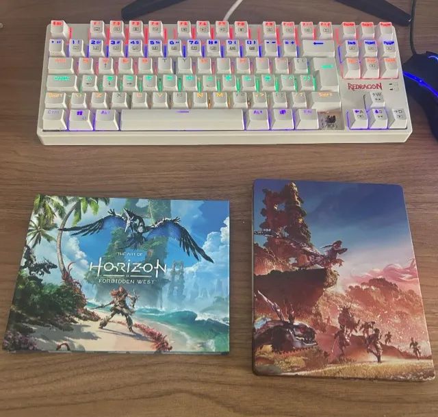 Horizon Forbidden West - Edição especial PS4 - Foto 3