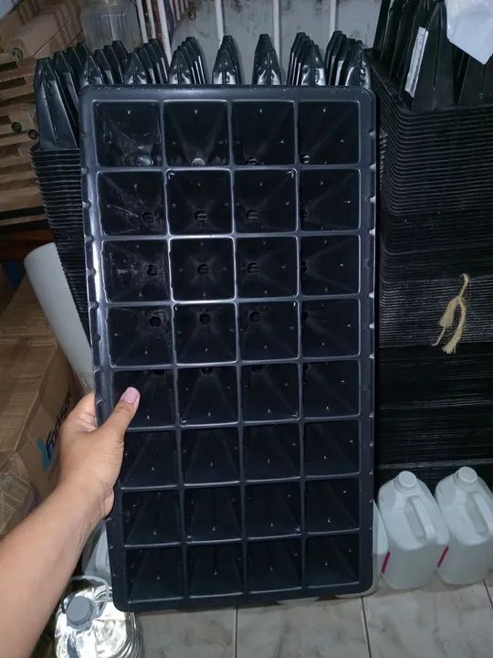 Bandejas para mudas sementeiras64315283950339120