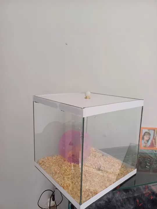 Terrario para Roedores - Foto 3