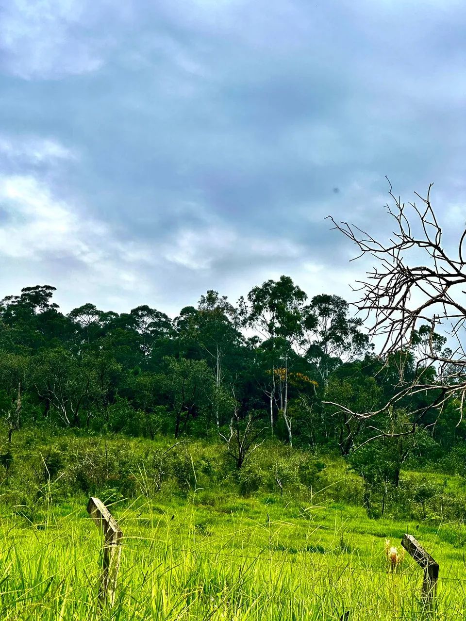 Invista em uma Área Valorizada  Garanta o Seu! - Foto 3