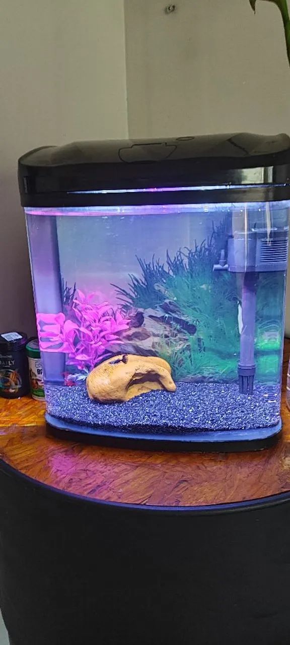 Aquário completo a venda 