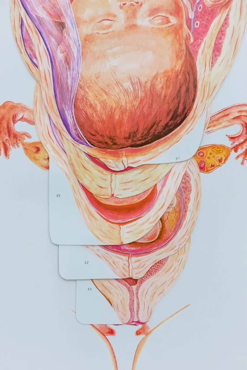 Quadro Imantado Educativo