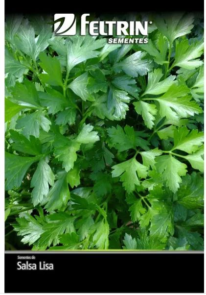 50 pacotes de sementes Feltrin sortidas - contém 900 miligrama(s) cada