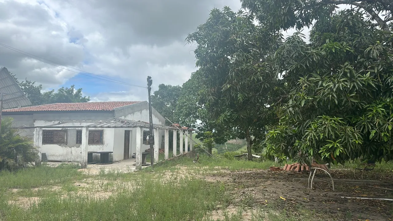 Vendo sítio em branquinha