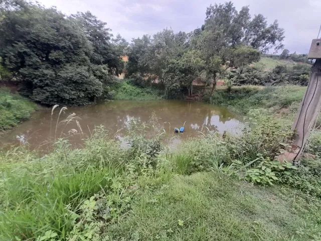Terreno em São Gabriel - Foto 3
