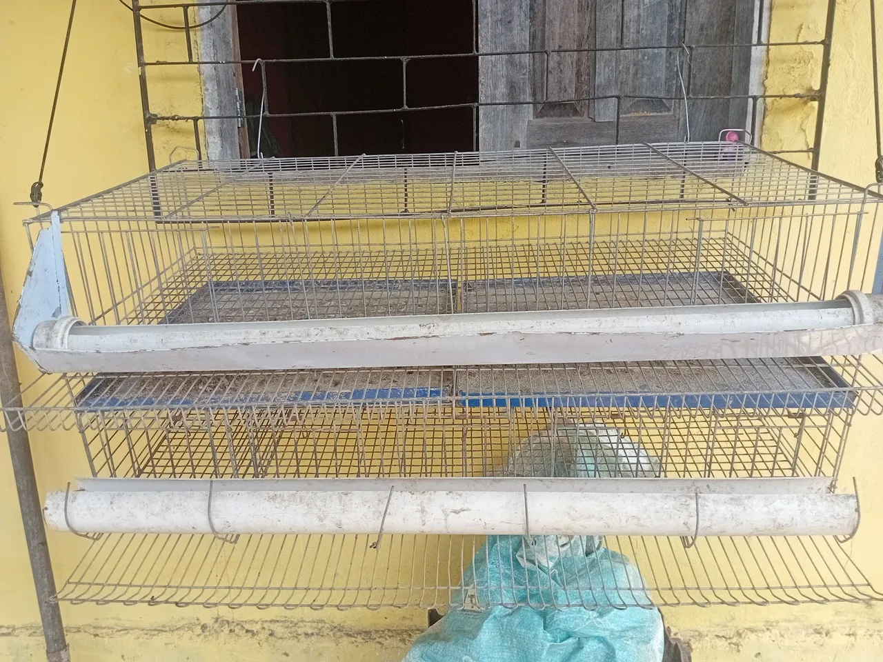 Viveiro pra Codornas