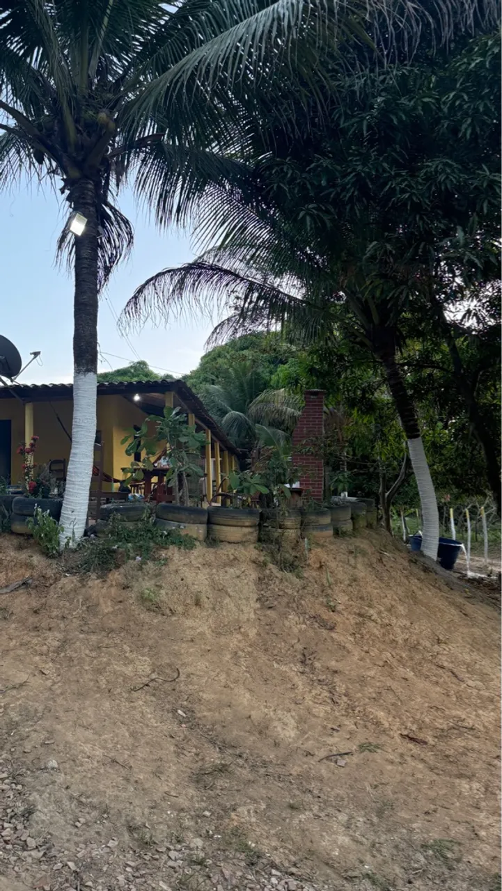 Vendo chácara em Flexeiras