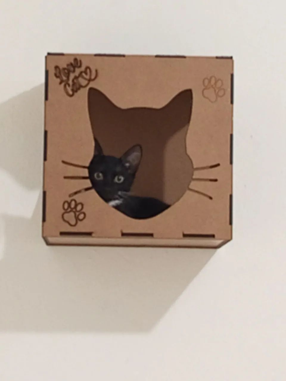 Nincho de  trilhas pra gatos 