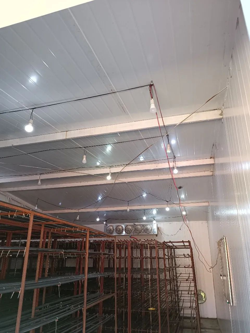 Galpão para produção controlada - Estava com Cogumelos  - Foto 6