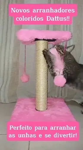 Arranhador Pet FRETE INCLUSO N25