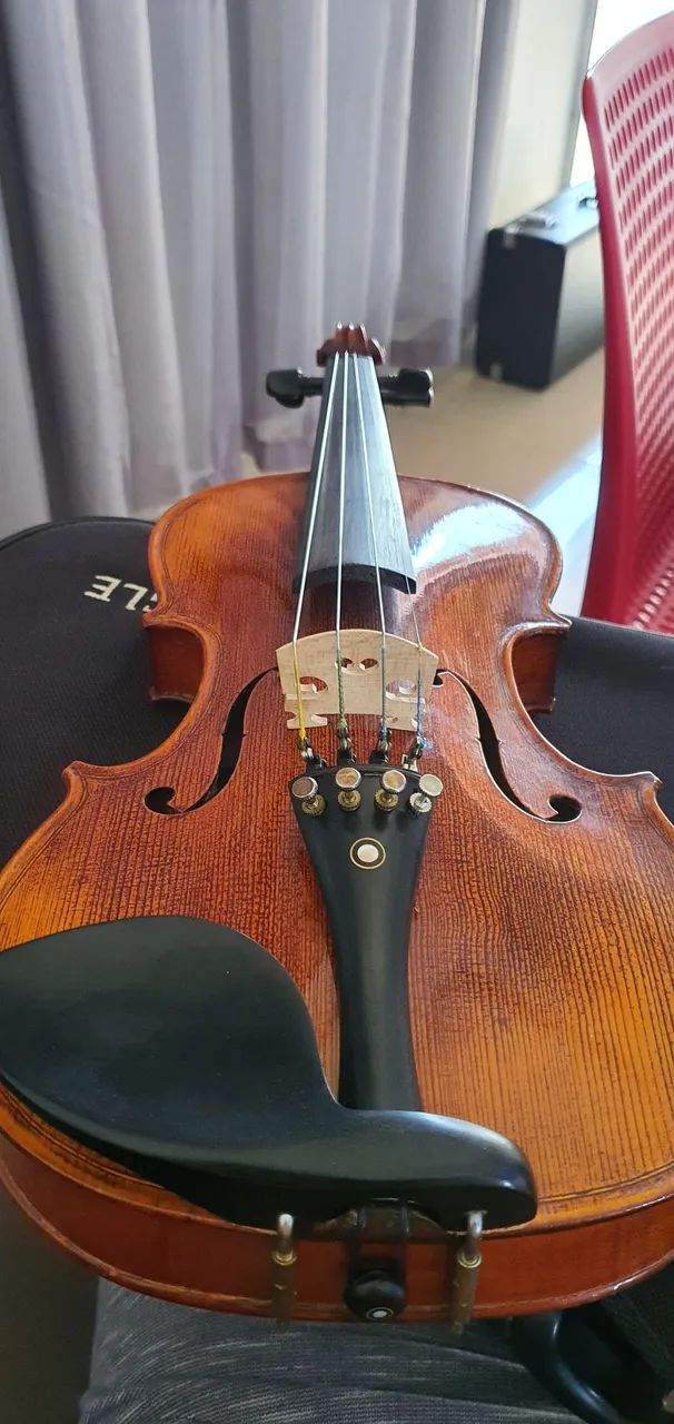 VIOLINO Eagle VK544