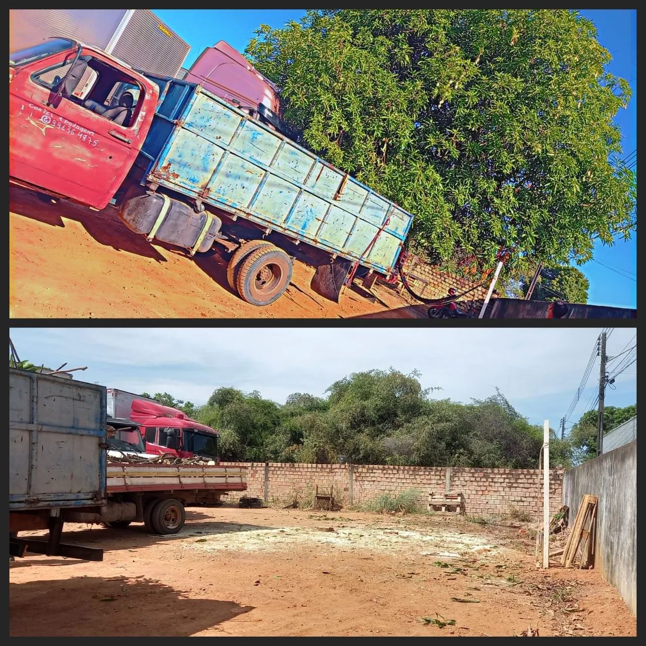 Cortes de arvores - Foto 3