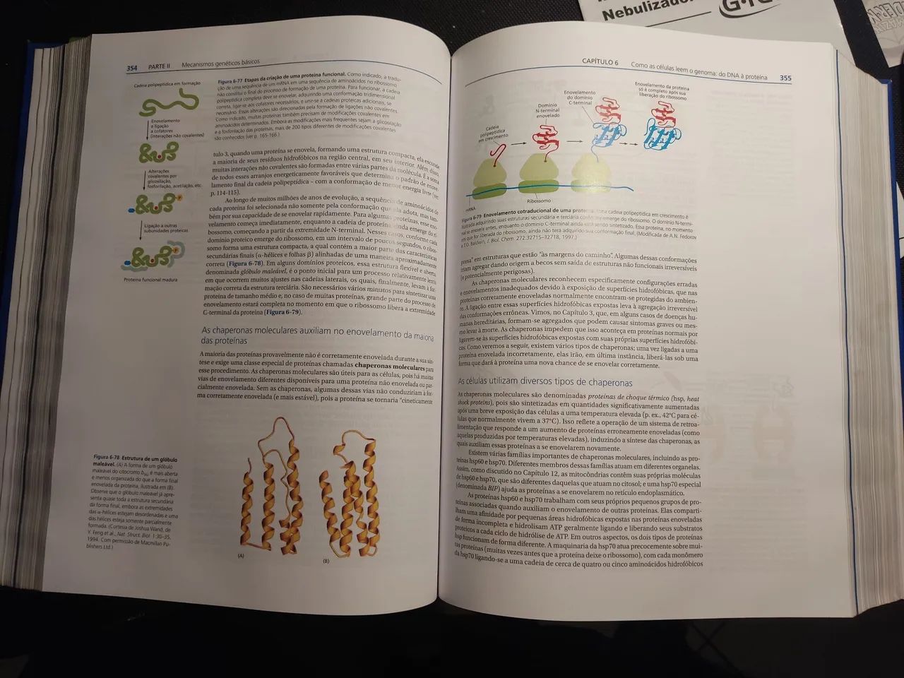 Biologia Molecular da Célula 6ª edição  - Foto 4