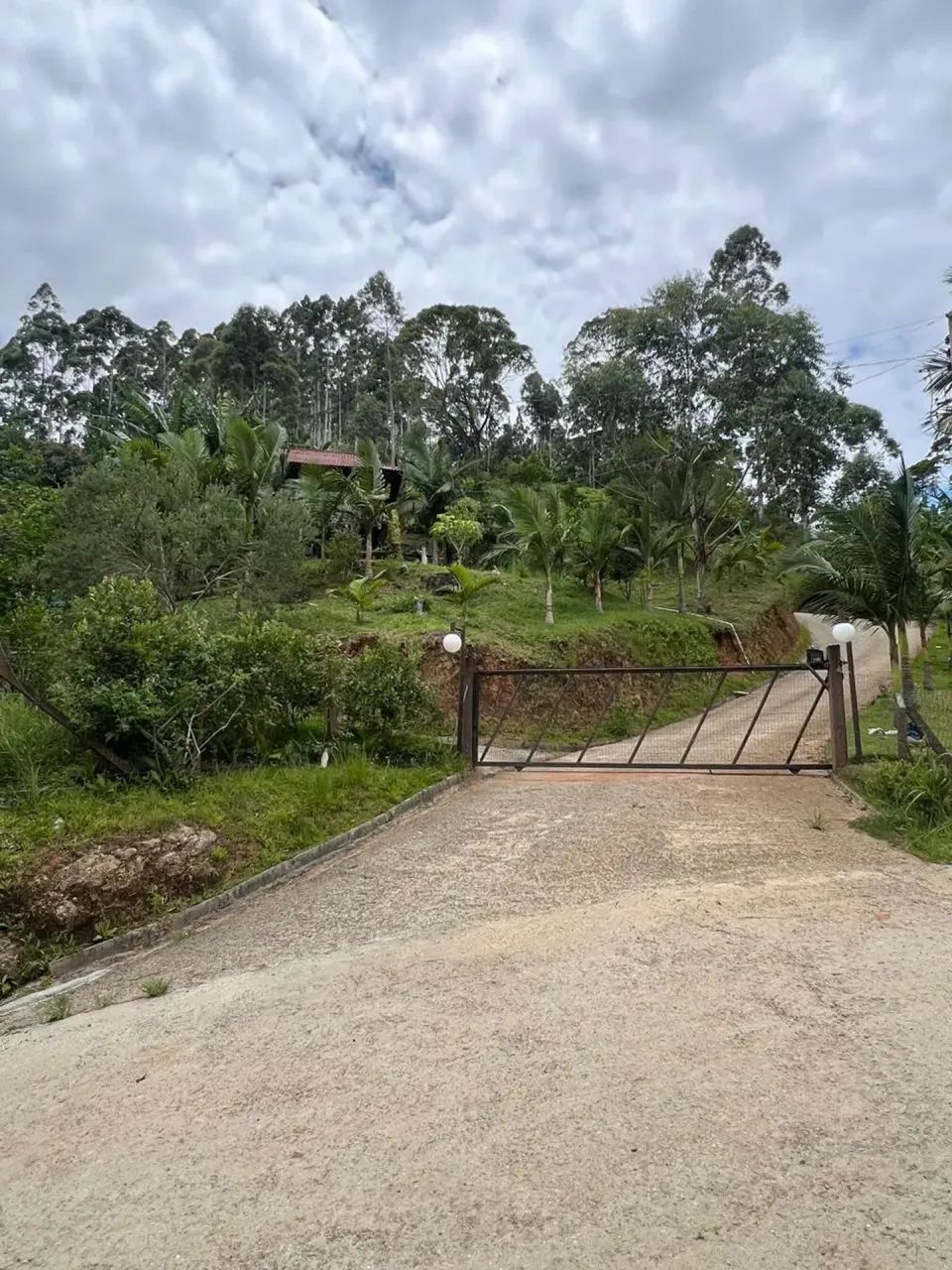 SÍTIO À VENDA | BRAÇO  CAMBORIÚ/SC - Foto 4