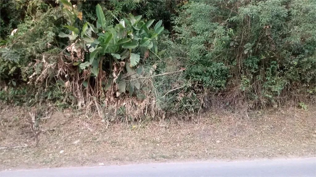 Terreno à venda em Barreiro - SP - Foto 4