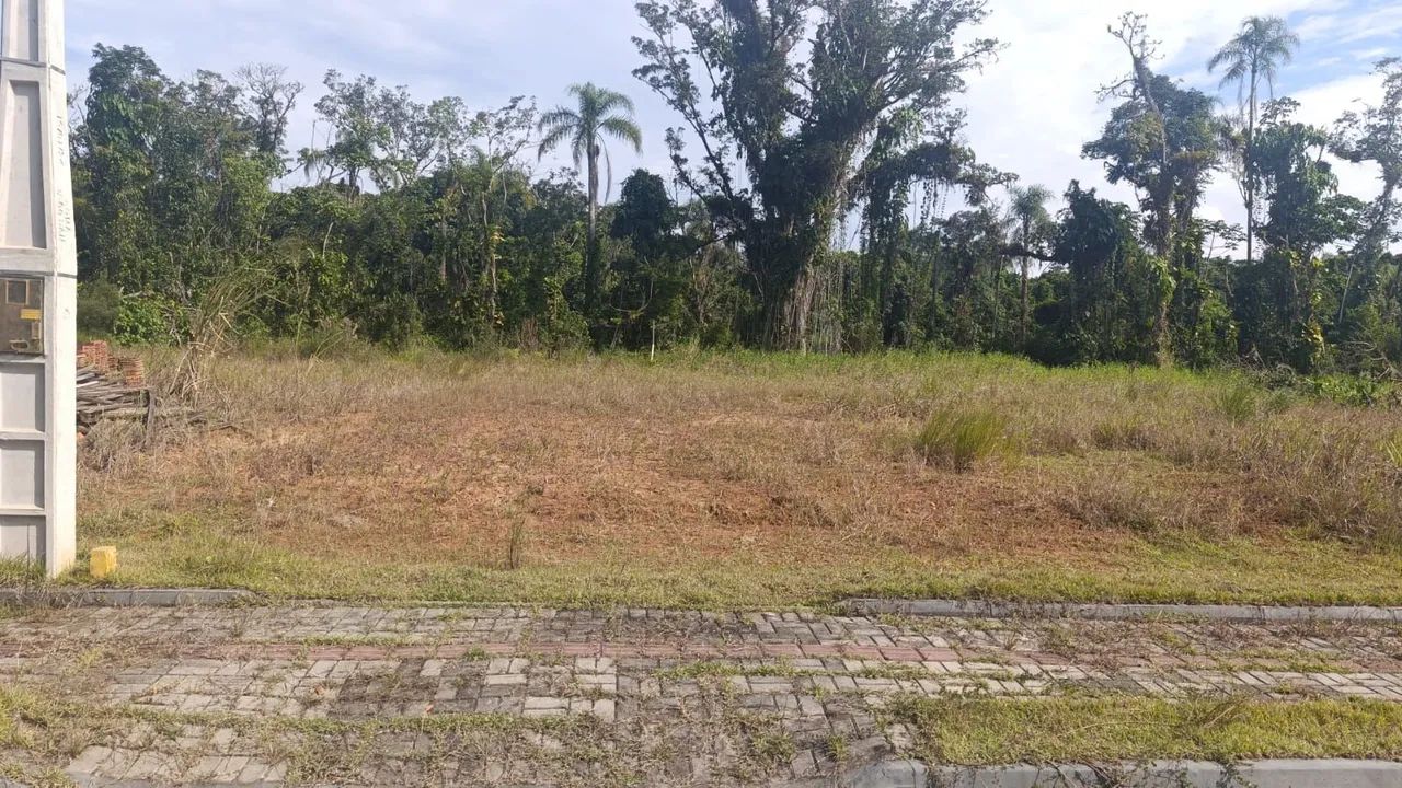 Terrenos a venda no Itinga e araquari - Foto 4