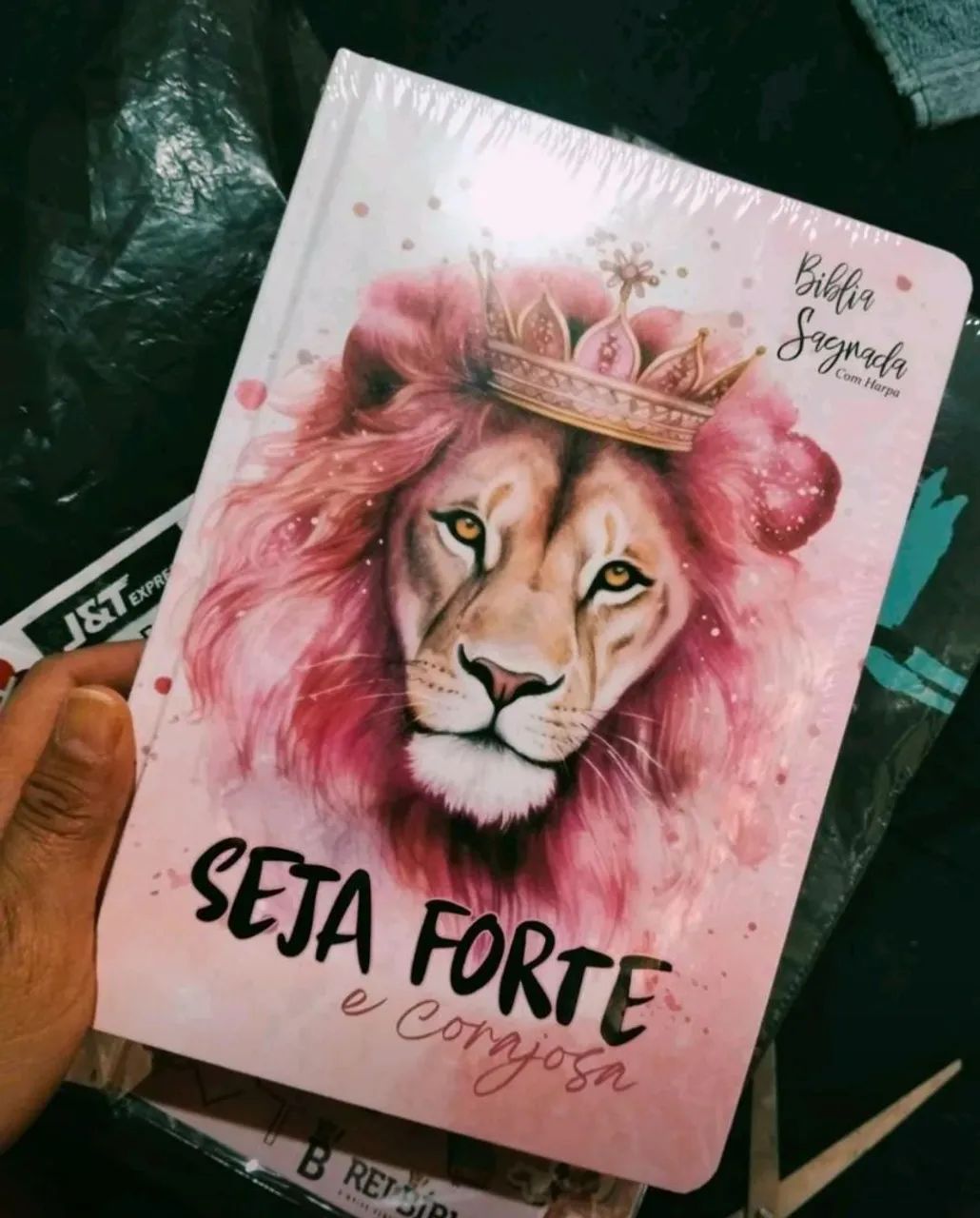 BÍBLIA SAGRADA - Foto 2
