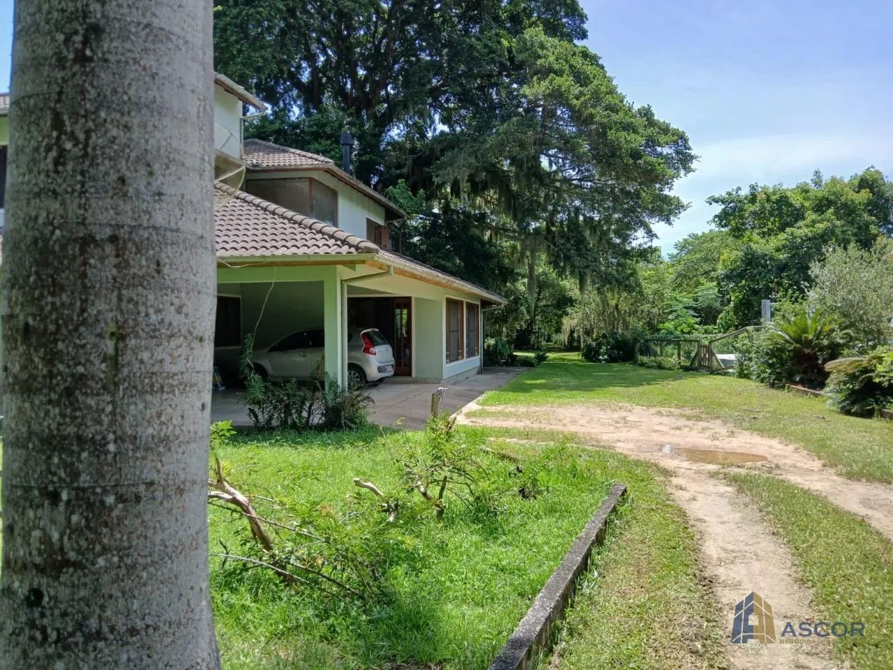 Sítio em Ratones Florianópolis com 8800m² Casa 4 Quartos Studio Independente e Área Verde - Foto 4