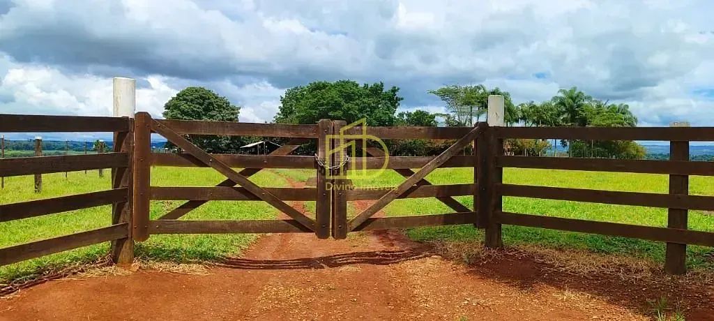 Excelente Sítio à Venda com Gado Incluso  Itapetininga/SP - Foto 3