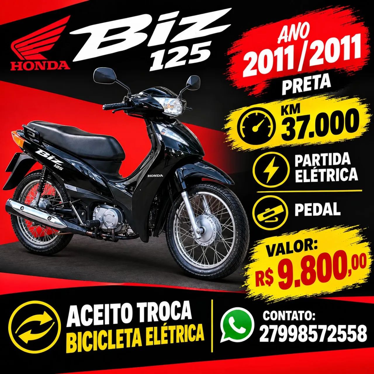 Biz 2011