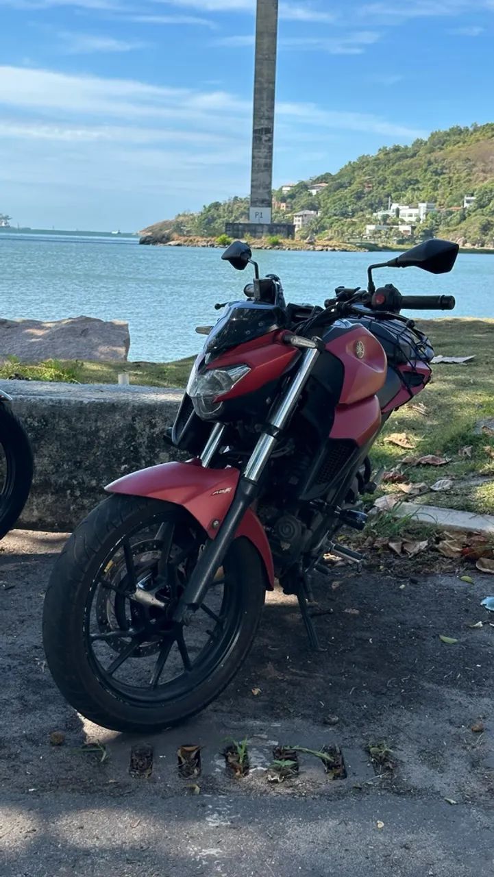 Fz 250 2019 flex 