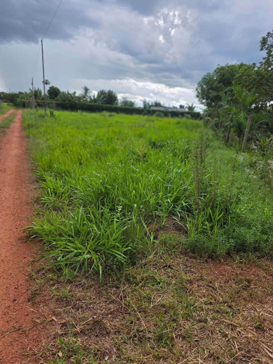 CHÁCARA A VENDA. - Foto 5