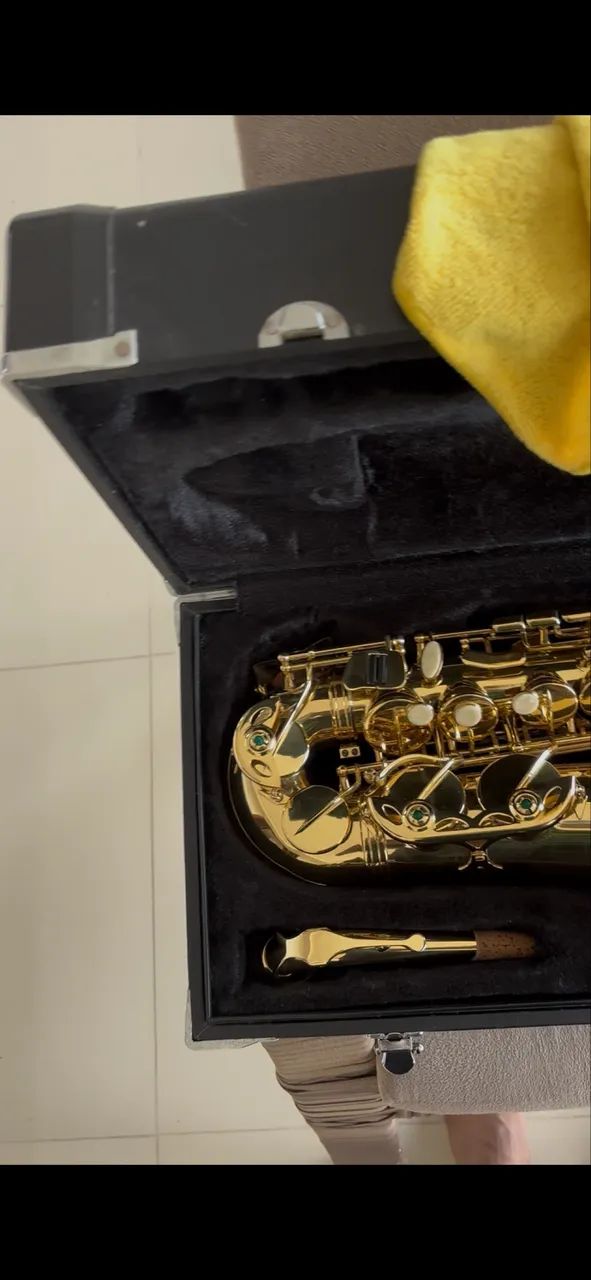 Sax Eagle 501 Novo - Foto 3