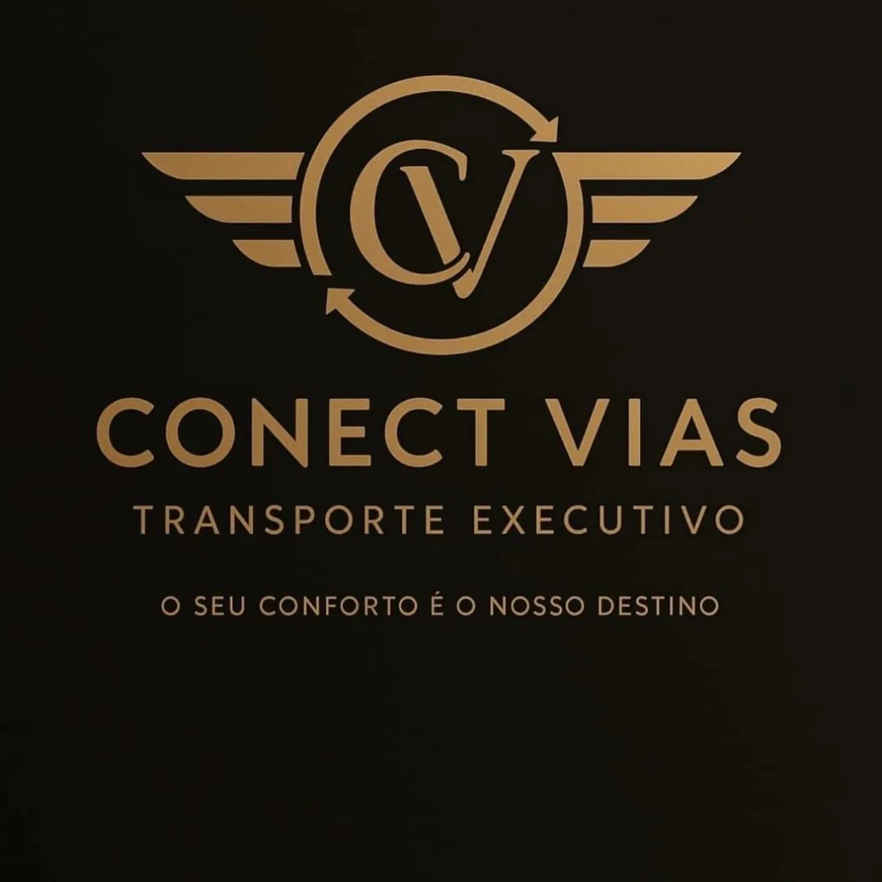Transporte executivo de passageiros  - Foto 2