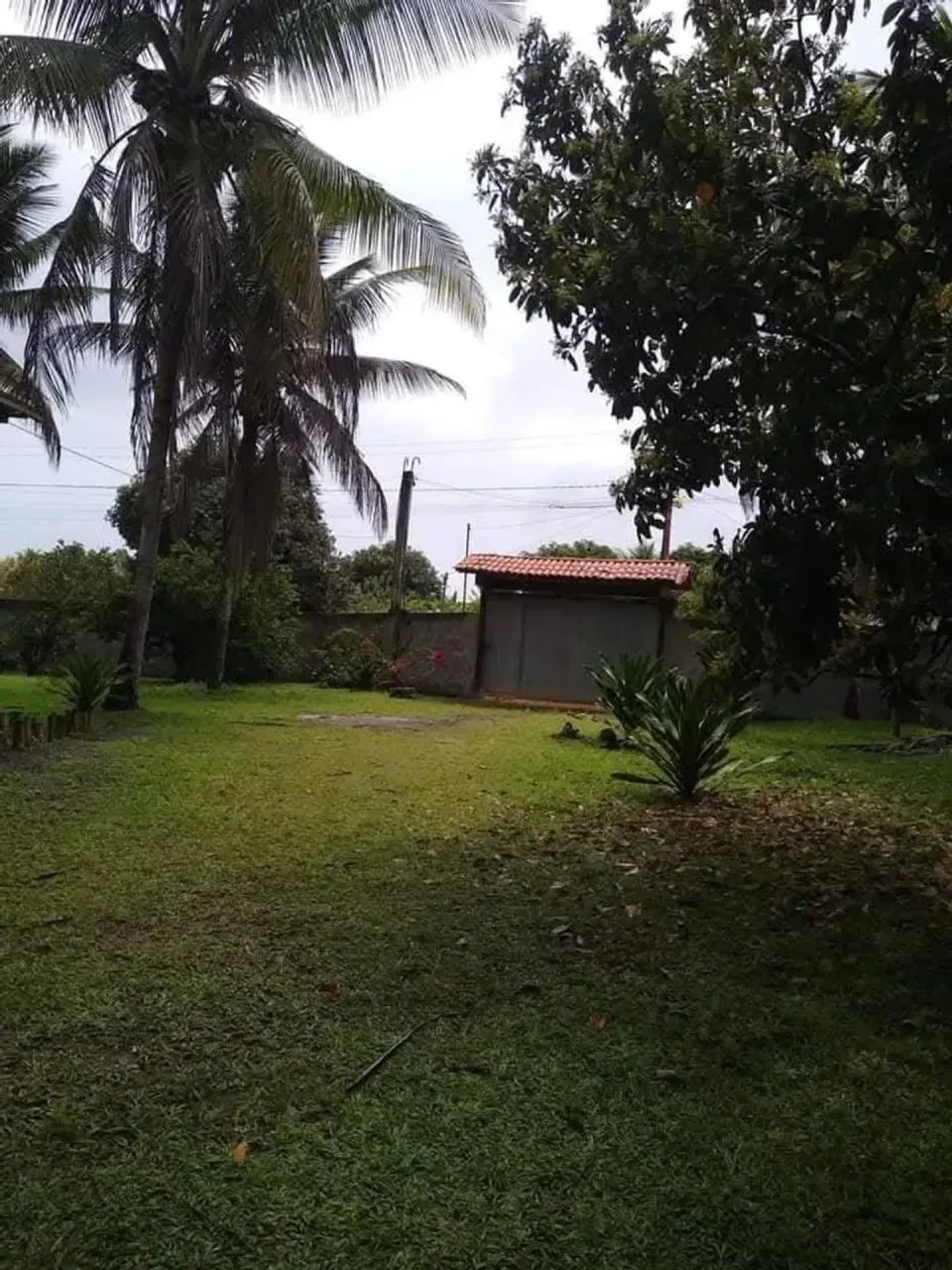 VENDO CHÁCARA COM PISCINA - Foto 5