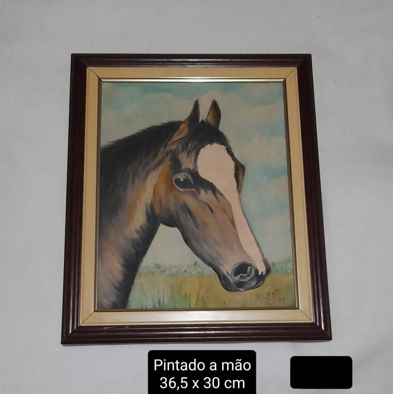 Quadro cavalo pintado a mão