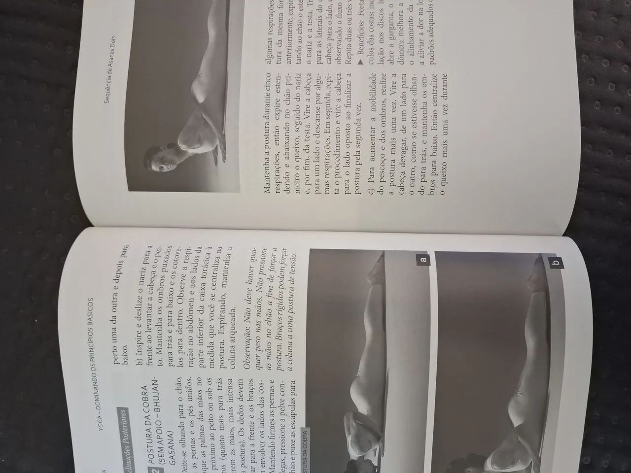 Livro  - Foto 4