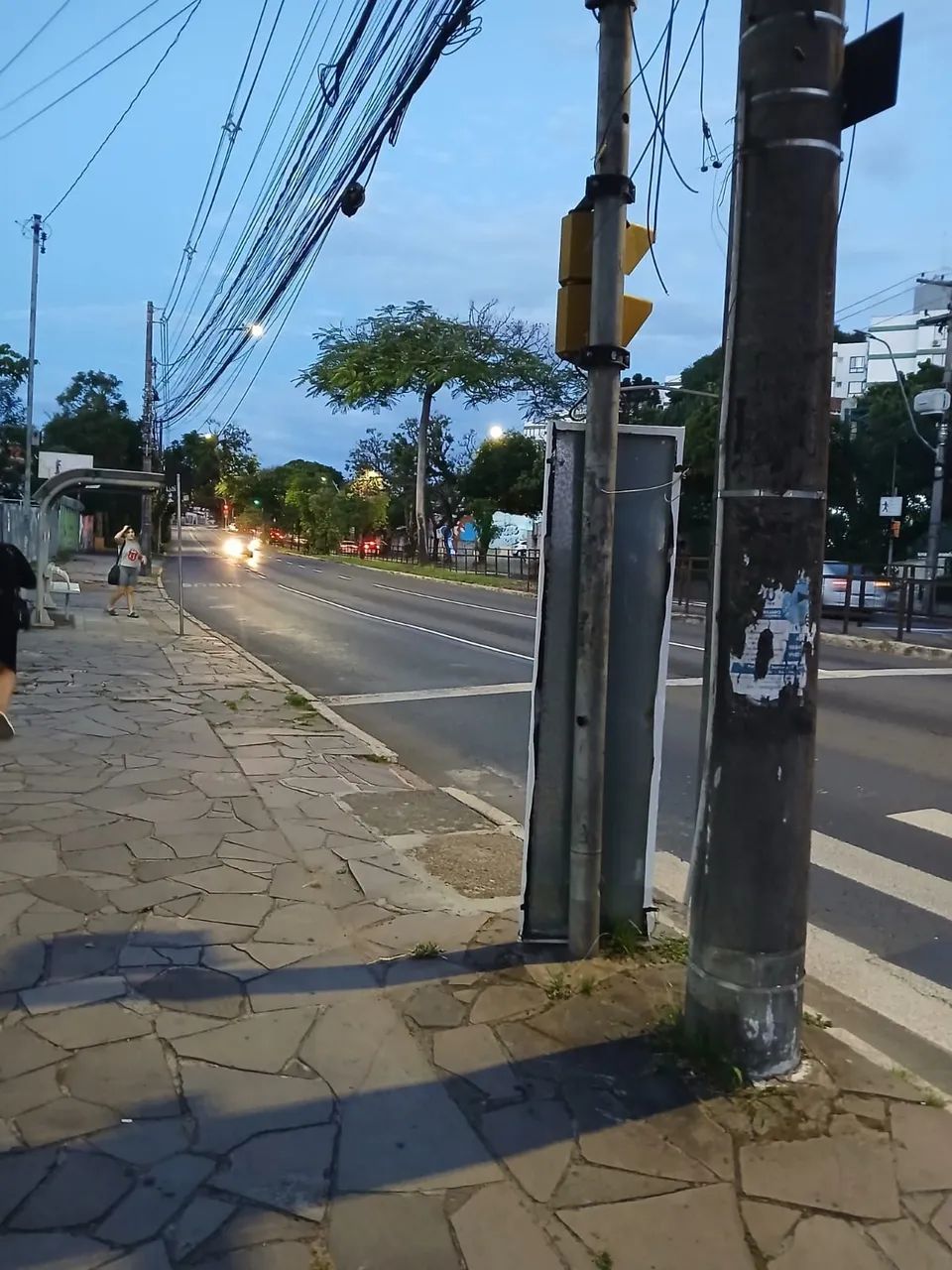 Loja Térrea em Avenida ! - Foto 3