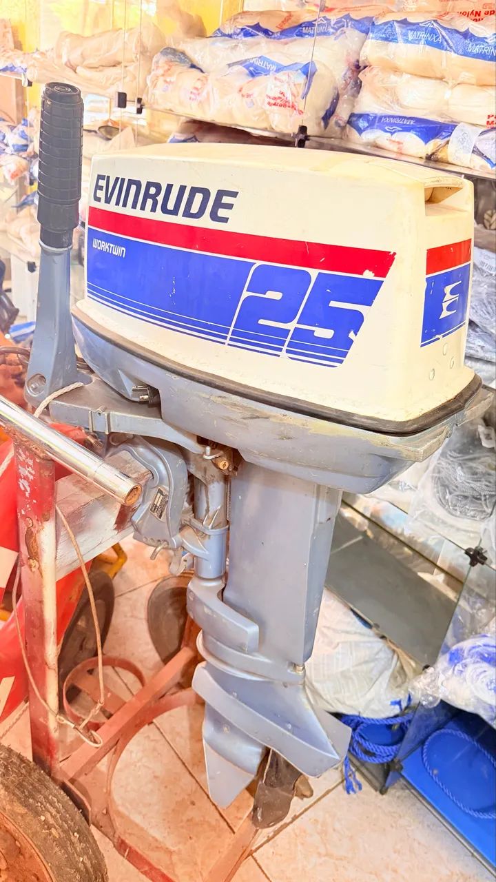 MOTOR EVINRUDE 25 WORKTWIN - Foto 2